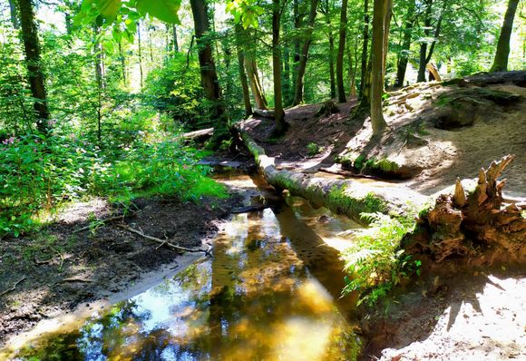 The Rotbachtal is a truly idyllic and fairytale like setting 
