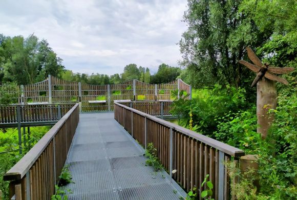 A new lookout built above the biotope reserve along the Ruhr river in Alstaden, Oberhausen 