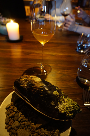 Black Tea Kombucha with Horse Mussel