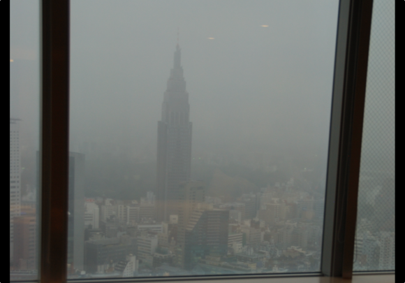 This is a portion of a photo I took from 2009.  The wire mesh can be seen on the right window.  