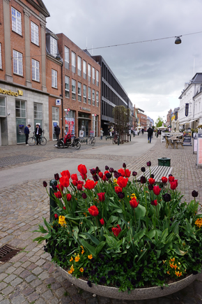 Roskilde