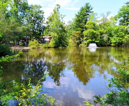 The nice lake in the Elizabeth Conservancy Park 