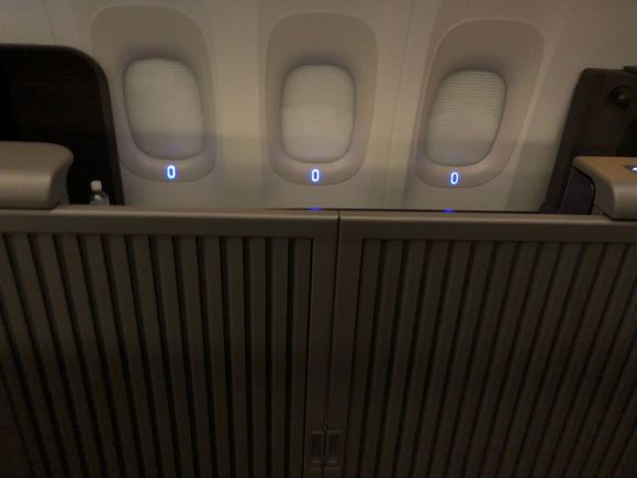 the door goes pretty high; this was taken standing in the adjacent (unoccupied) seat and you still can't see who's inside without going to the aisle. I personally think that the door is overkill functionally, but it is cool to see and elegant in its design.