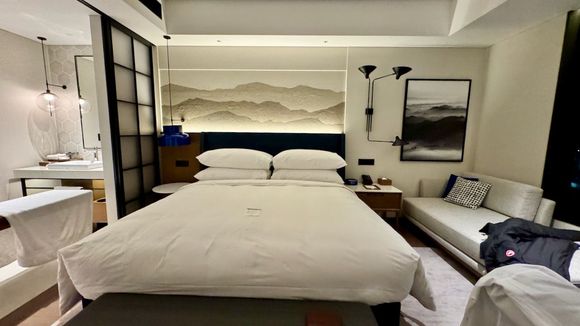 Room - sliding doors to hide the bathroom area if required.