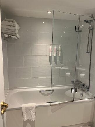 Superior Family Room Bathroom
