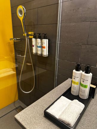 Nice shower with rain and handle