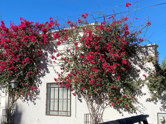 Todos Santos