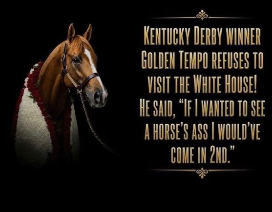 I thought about posting this in the Political Humor thread but concider it worthy of comment and discussion. 