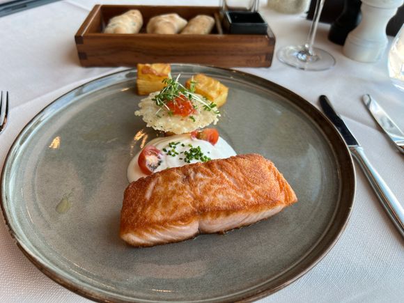 Salmon 