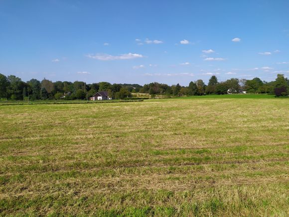 There is, amazingly, much open farmland in the Ruhrgebiet, although a view like this is more typical of the Niederrhein area near the Dutch border