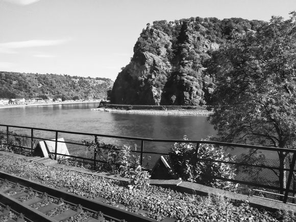 In the Rhine gorge, the most scenic part of the trip 