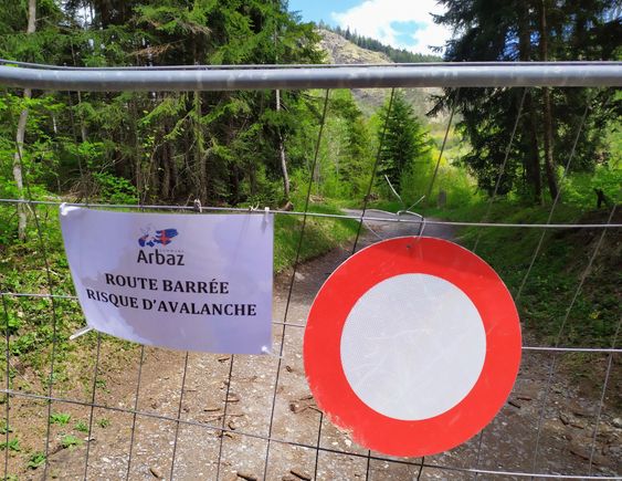 There had been considerable damage in the forests during heavy snowstorms late in the season - I believe I went past this barrier all the same and through the fallen trees, because there was no way of turning back due to the late by afternoon bus timetables back down into the Rhône valley 