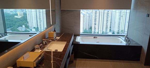 RS: Huge bathroom 