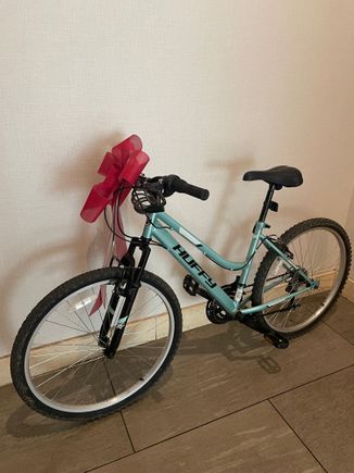 The bike I bought at Walmart for my stay. I gave it to a member of staff.
