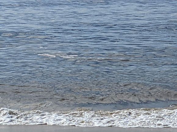 I’m sick and tired of going to Leblon beach and getting disgusted. 