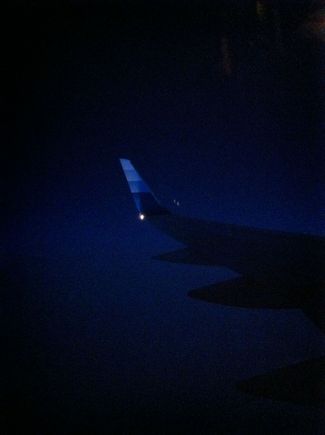 Late stage tulip wing-tip