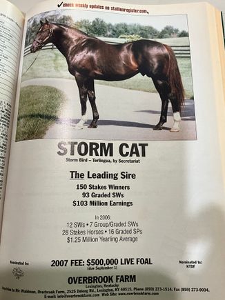 Every time I pass by the Jif Peanut Butter plant in LEX, I always think of WT Young, Storm Cat and Overbrook Farm.  This page was from the year prior to Storm Cat retiring after years of retaining that gaudy $500K stud fee that Young admitted was an obscene price but they still had a lot more demand than available covers even at that price.