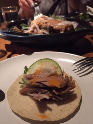 Duck carnitas on taco