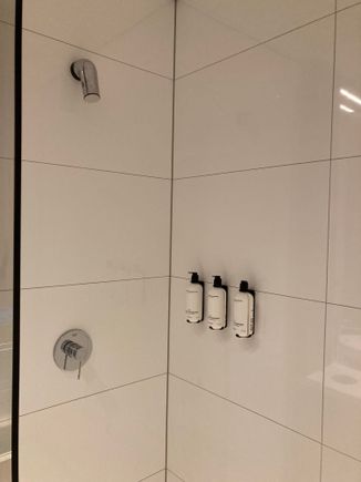 Mounted shower 