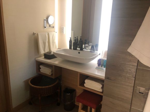 Bathroom sink