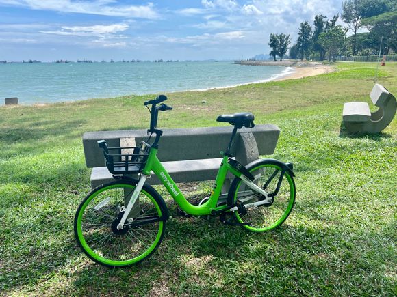 My faithful steed for the day, photographed at East Coast Park. From here there are great views of the shipping lanes, with maybe hundreds of cargo ships and tankers lurking off the shore.