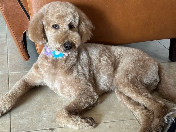Back from the spa with our “crushed velvet” look!