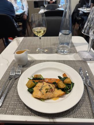 Salmon 