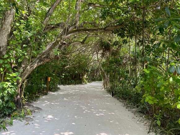 How 95% of the paths around the adults island looks like