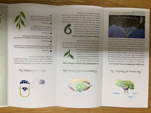 English leaflet