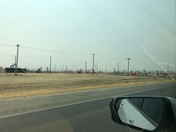 California's Black Gold. An industry our moronic Governor is trying to stop.