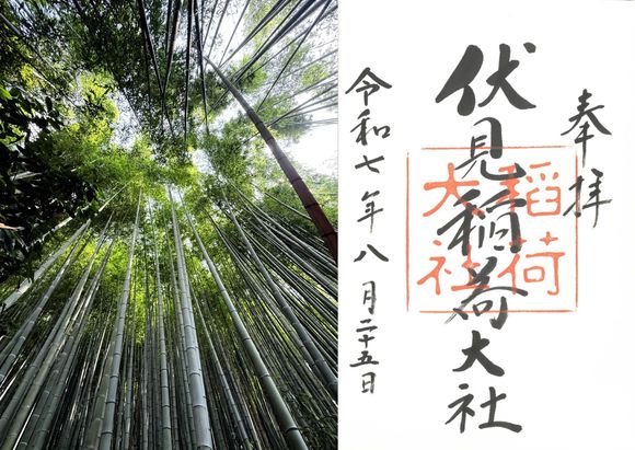 Bamboo grove at Fushimi Inari Taisha, Kyoto