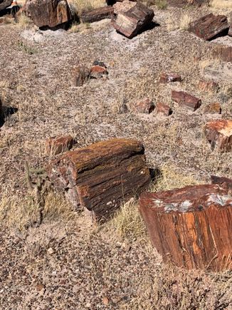 Log Rocks. 