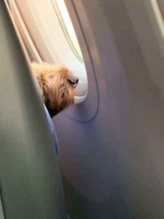 Someone looking out the window during take off. 