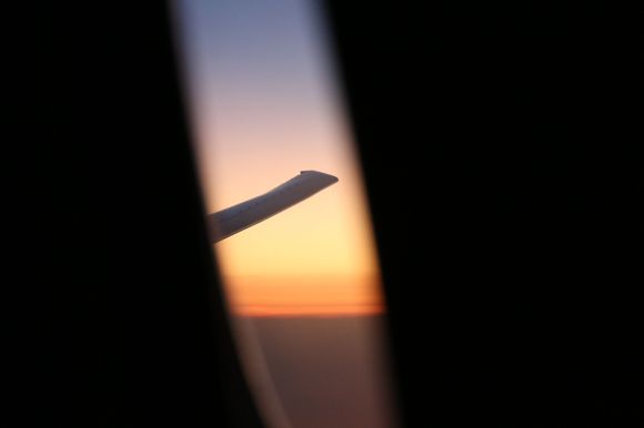 Wing view from up the front