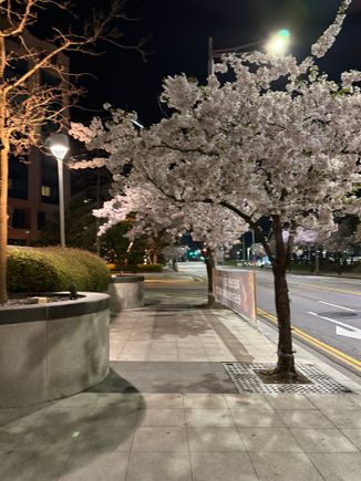 Come down from the slope and the hotel should be on your right side after a crosswalk. 