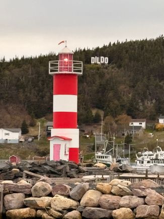 Dildo sign donated by Jimmy Kimmel