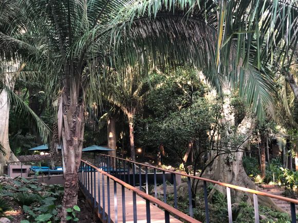 Spa area