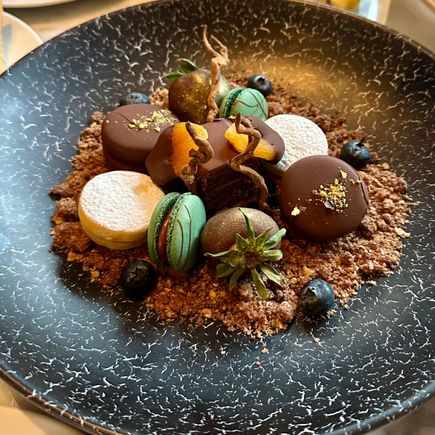 Hyatt Centric Lima. Booked last minute (2 hours before arrival), no welcome gift in the room and that was fine. Extended my stay a couple of times and on the 5th morning they presented this at breakfast along with a handwritten note. Very tasty!