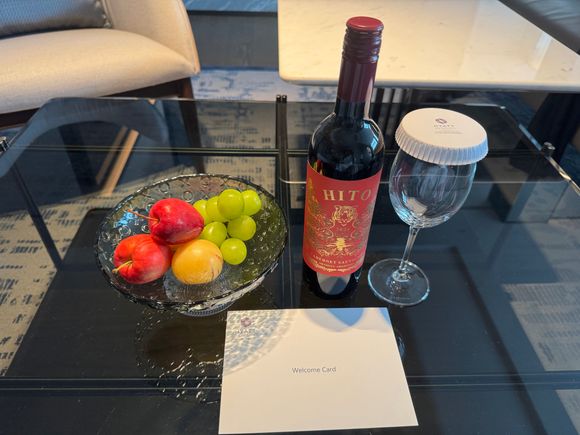 Hyatt Regency Hangzhou Airport