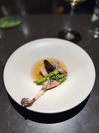 Quail: omg, stuffed morrel mushroom out of the world, stuffed onion with bitter mogwart: Broth was super well balanced and not too herbal.