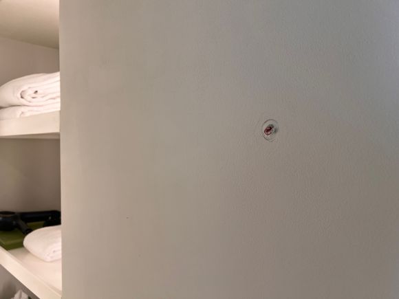 The hook just came off when I tried to hang my bathrobe 🤷‍♂️