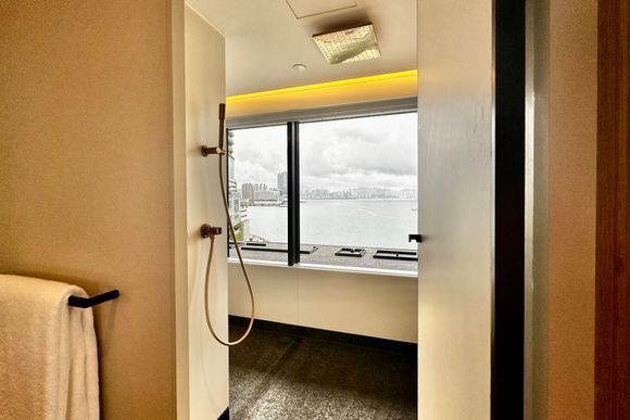 Shower room