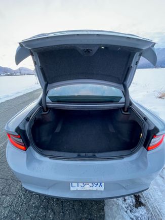 Trunk 