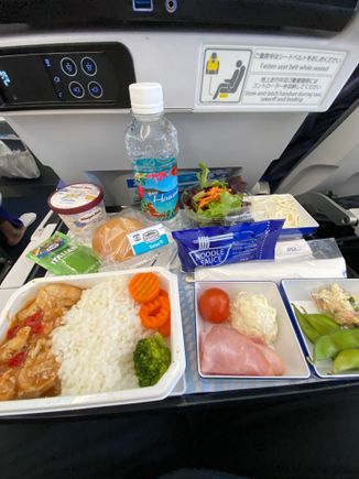 Y meal HNL-NRT.  Noticeable differences!