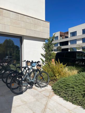 Free bicycles 