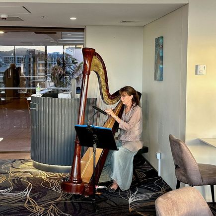 Harpist in Exec Lounge..! 