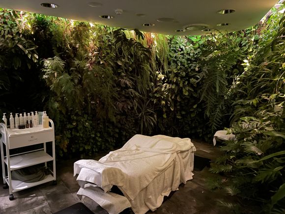 A beautiful spa that evoked the ultimate in relaxation - would have happily paid for a treatment that lasted more than just 20 minutes! 
