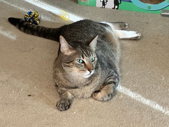 George found the spot under the ceiling fan.