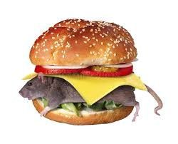 BA Mouseburger: British free range mouse, a lovingly seeded sesame roll, Isle of Wight tomato, heritage red onion slices, and dill pickle, accompanied by twice-cooked chips. Ask your host if you would like to add crispy back bacon or mature English Cheddar.