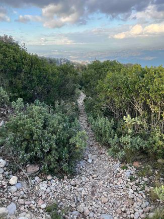 Not the path down!